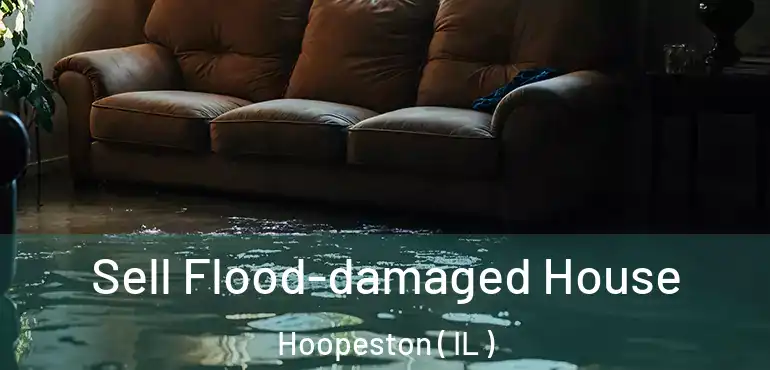  Sell Flood-damaged House Hoopeston ( IL )