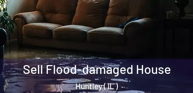  Sell Flood-damaged House Huntley ( IL )