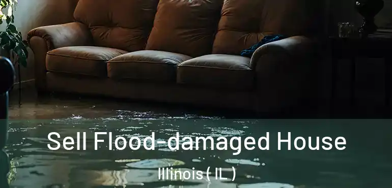  Sell Flood-damaged House Illinois ( IL )