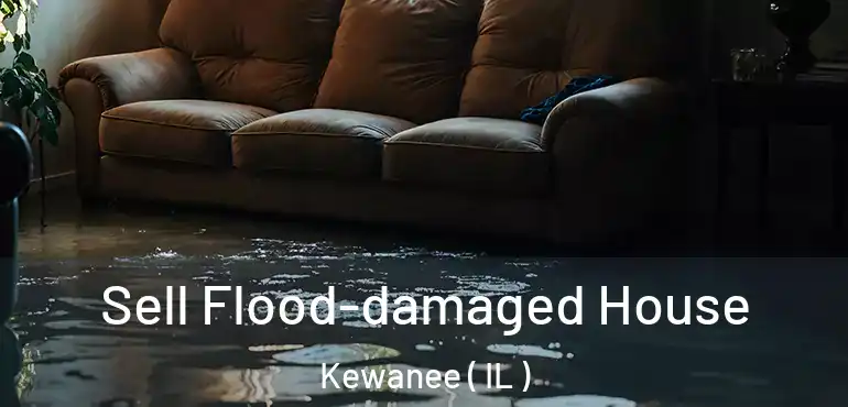  Sell Flood-damaged House Kewanee ( IL )