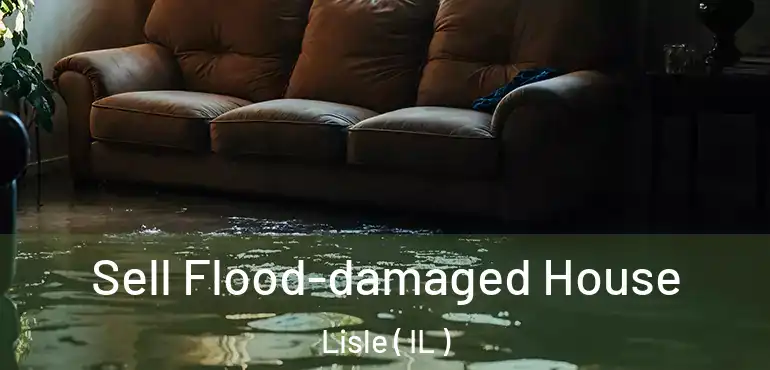  Sell Flood-damaged House Lisle ( IL )