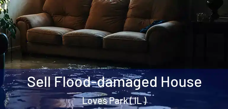  Sell Flood-damaged House Loves Park ( IL )