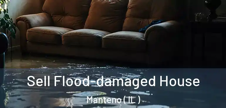  Sell Flood-damaged House Manteno ( IL )