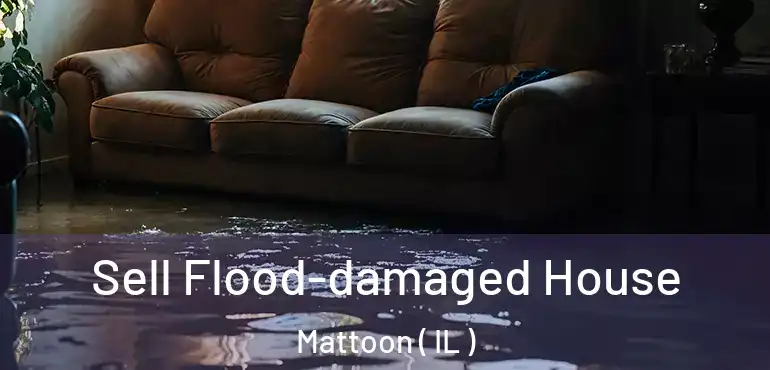  Sell Flood-damaged House Mattoon ( IL )