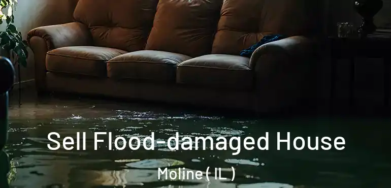  Sell Flood-damaged House Moline ( IL )