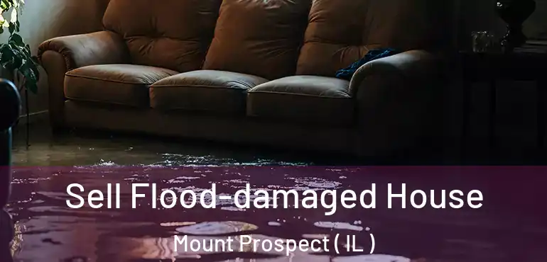  Sell Flood-damaged House Mount Prospect ( IL )