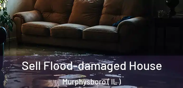  Sell Flood-damaged House Murphysboro ( IL )