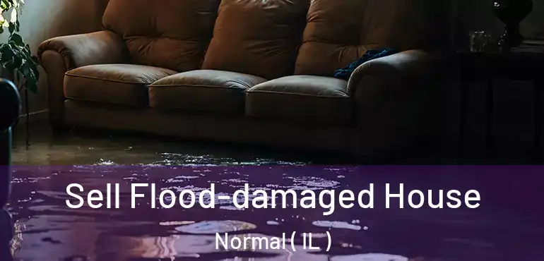  Sell Flood-damaged House Normal ( IL )