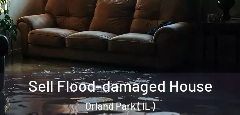  Sell Flood-damaged House Orland Park ( IL )