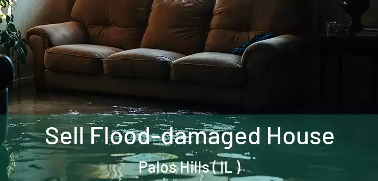  Sell Flood-damaged House Palos Hills ( IL )
