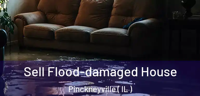  Sell Flood-damaged House Pinckneyville ( IL )