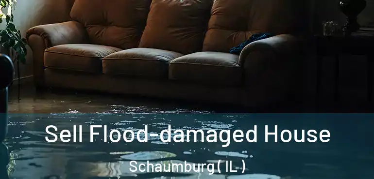  Sell Flood-damaged House Schaumburg ( IL )