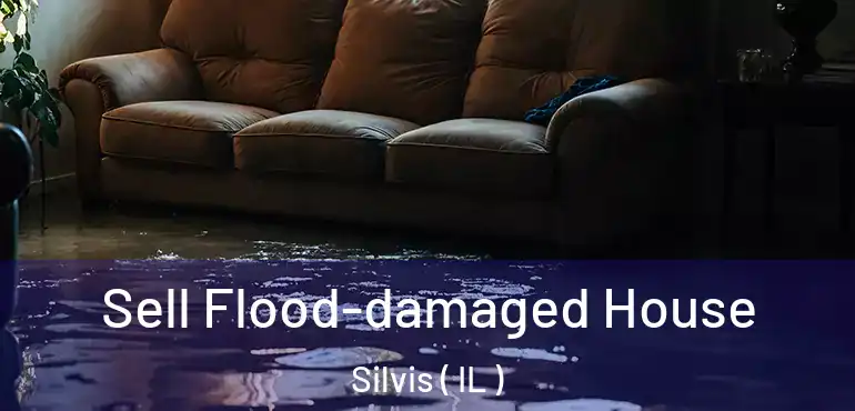  Sell Flood-damaged House Silvis ( IL )