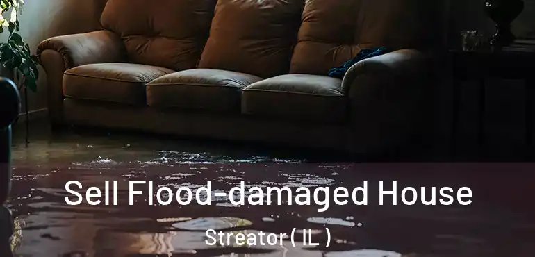  Sell Flood-damaged House Streator ( IL )