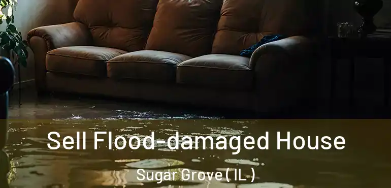  Sell Flood-damaged House Sugar Grove ( IL )
