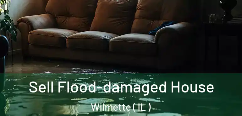  Sell Flood-damaged House Wilmette ( IL )