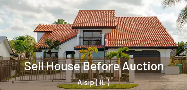 Sell House Before Auction Alsip ( IL )