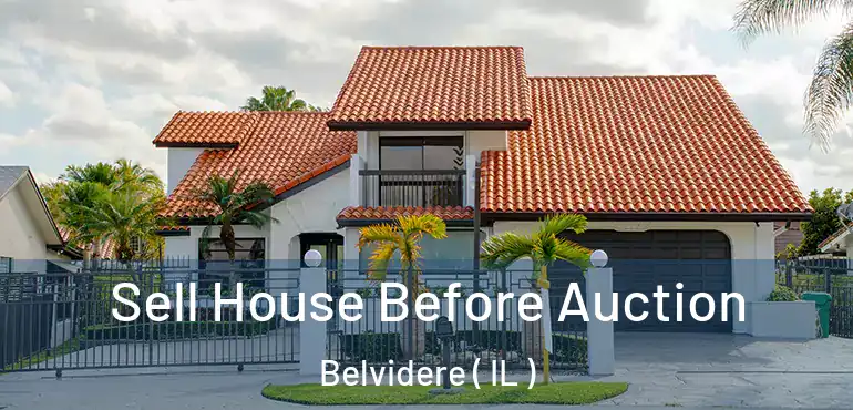  Sell House Before Auction Belvidere ( IL )