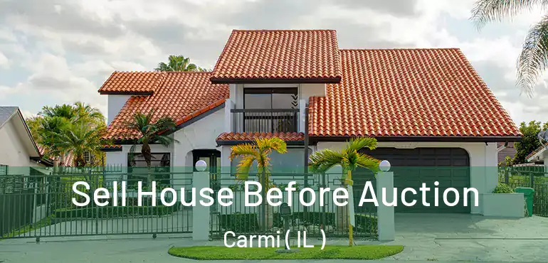  Sell House Before Auction Carmi ( IL )