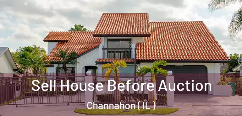  Sell House Before Auction Channahon ( IL )