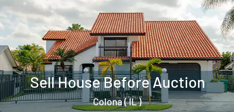  Sell House Before Auction Colona ( IL )