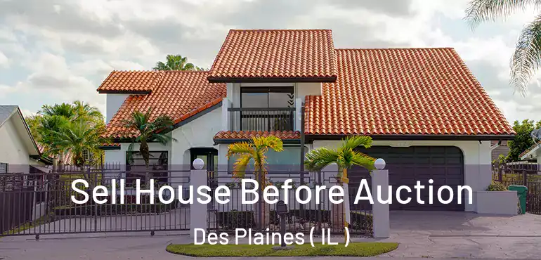  Sell House Before Auction Des Plaines ( IL )