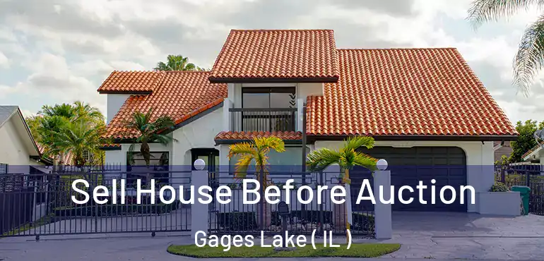  Sell House Before Auction Gages Lake ( IL )
