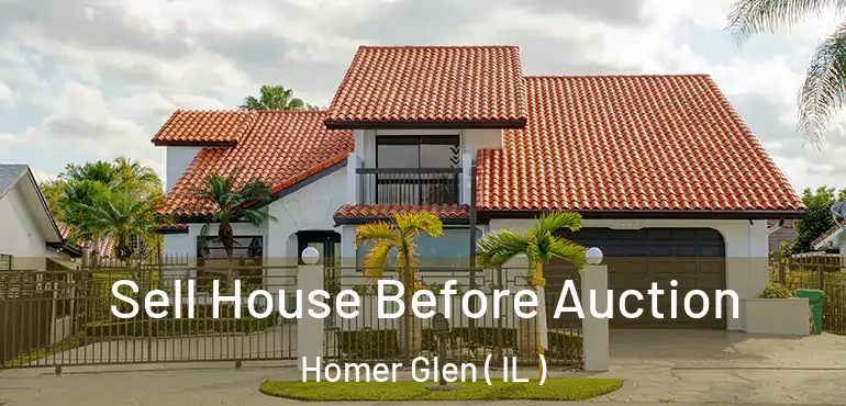  Sell House Before Auction Homer Glen ( IL )