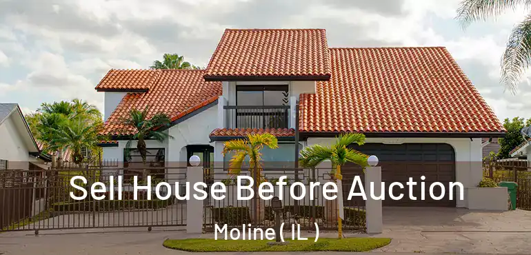  Sell House Before Auction Moline ( IL )
