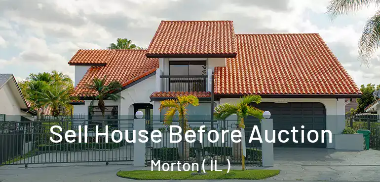  Sell House Before Auction Morton ( IL )