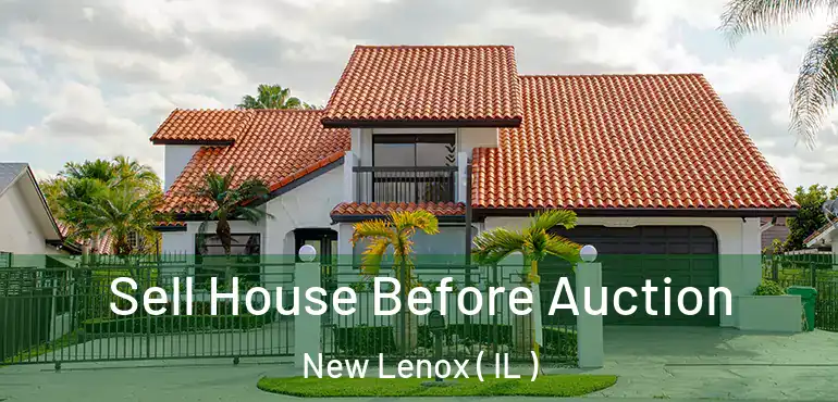  Sell House Before Auction New Lenox ( IL )