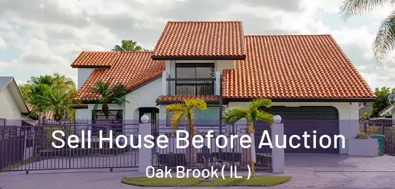  Sell House Before Auction Oak Brook ( IL )