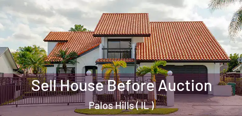  Sell House Before Auction Palos Hills ( IL )