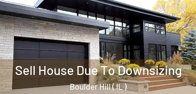  Sell House Due To Downsizing Boulder Hill ( IL )