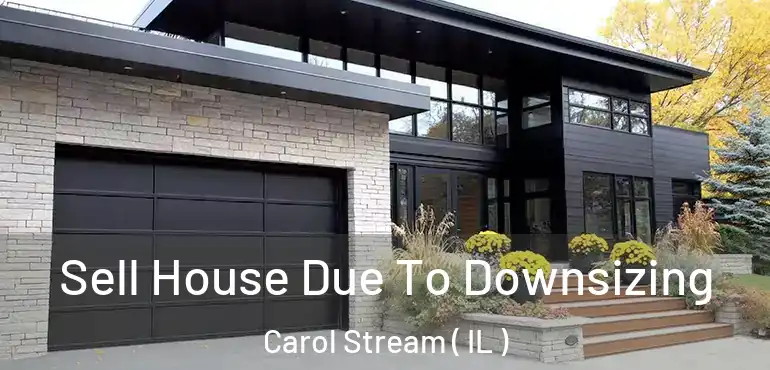  Sell House Due To Downsizing Carol Stream ( IL )