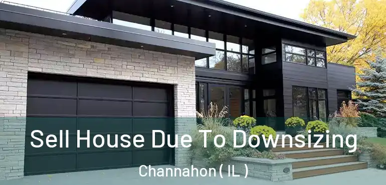  Sell House Due To Downsizing Channahon ( IL )