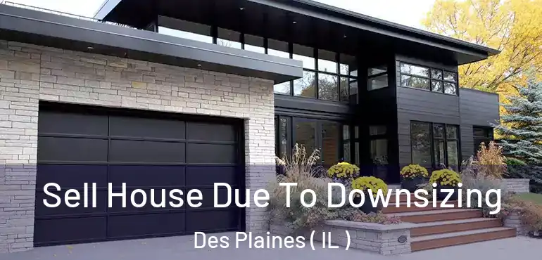  Sell House Due To Downsizing Des Plaines ( IL )