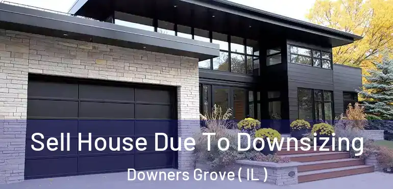  Sell House Due To Downsizing Downers Grove ( IL )