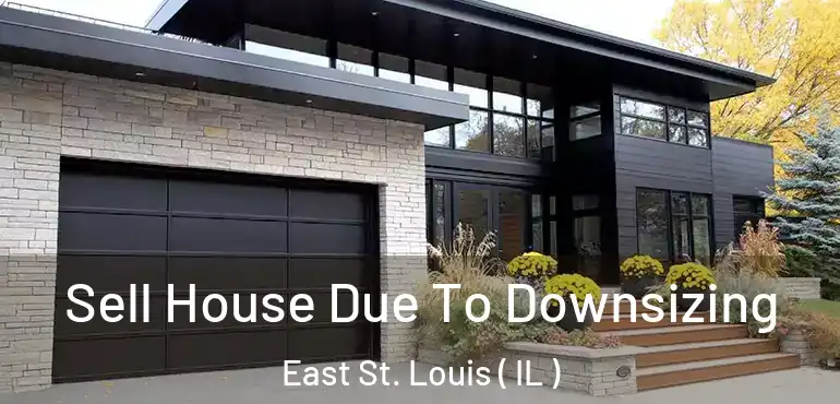  Sell House Due To Downsizing East St. Louis ( IL )