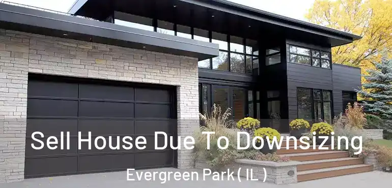  Sell House Due To Downsizing Evergreen Park ( IL )
