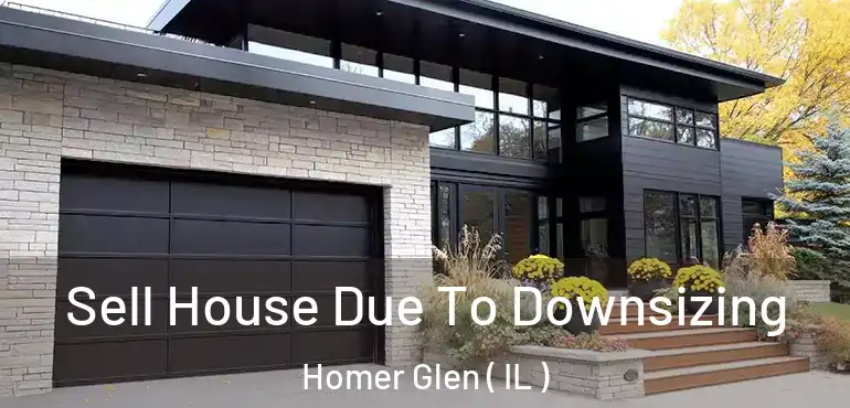  Sell House Due To Downsizing Homer Glen ( IL )