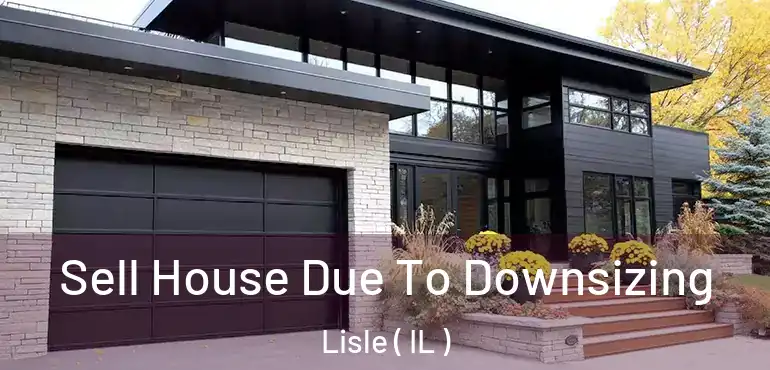  Sell House Due To Downsizing Lisle ( IL )