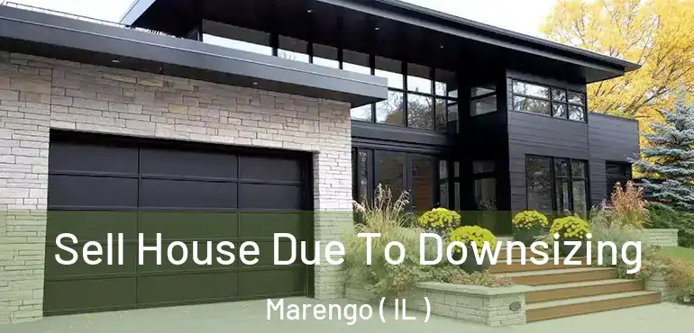  Sell House Due To Downsizing Marengo ( IL )