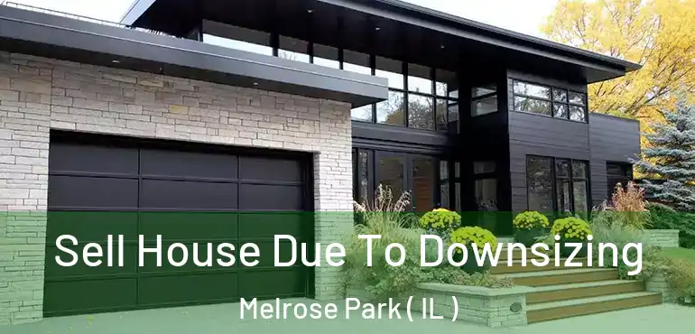  Sell House Due To Downsizing Melrose Park ( IL )