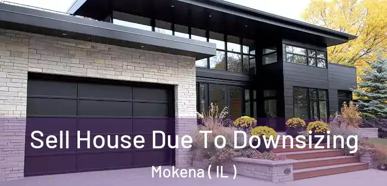  Sell House Due To Downsizing Mokena ( IL )