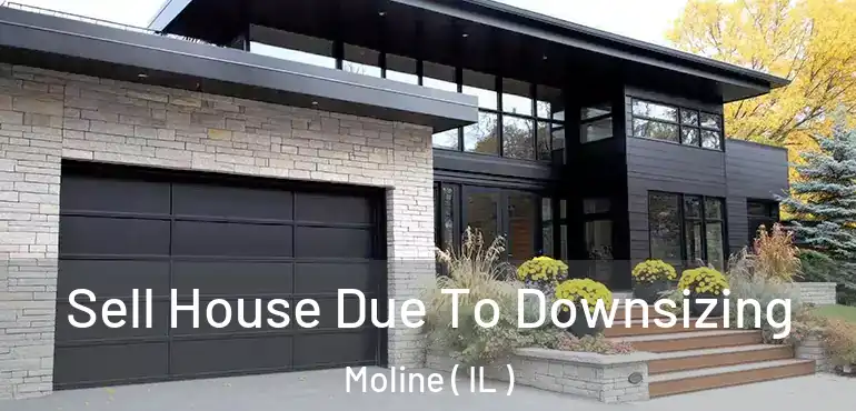  Sell House Due To Downsizing Moline ( IL )