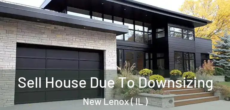  Sell House Due To Downsizing New Lenox ( IL )