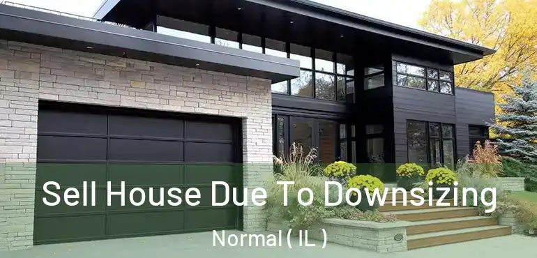  Sell House Due To Downsizing Normal ( IL )