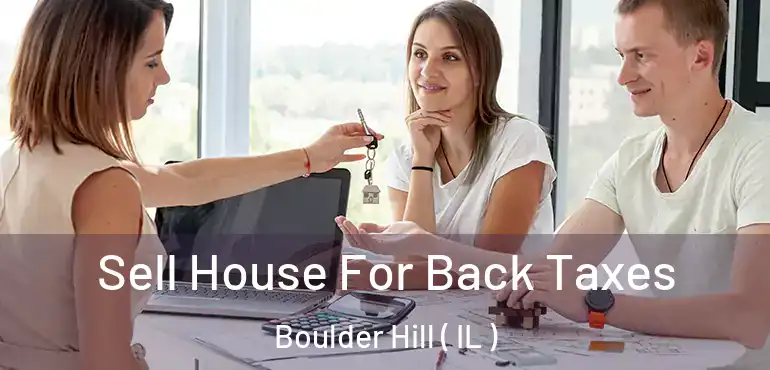  Sell House For Back Taxes Boulder Hill ( IL )