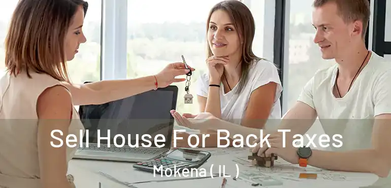  Sell House For Back Taxes Mokena ( IL )